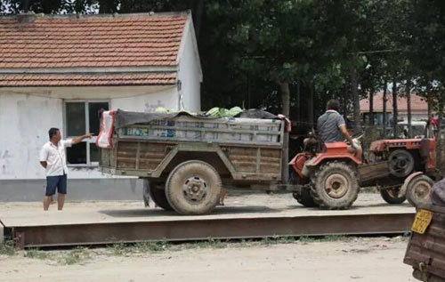 西瓜市場(chǎng)過地磅1斤1分錢